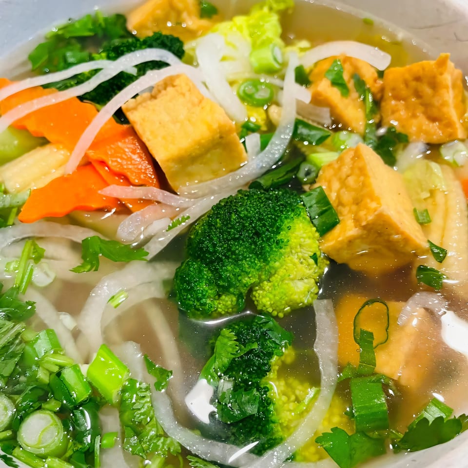 Close-up of Pho Boca's vegetarian pho with tofu, broccoli, carrots, and onions in broth.